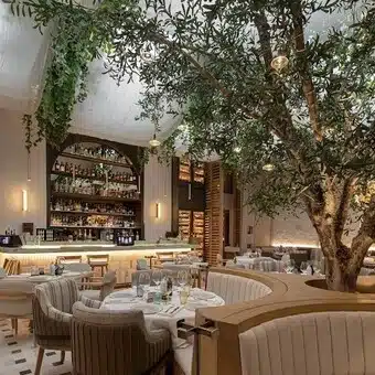 Restaurante-Elia-Estiatorio-Bosques-con-Reservandonos-4
