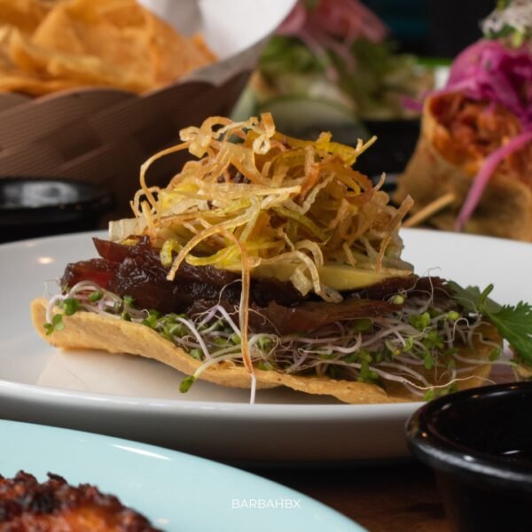 barba-negra-holbox-8.