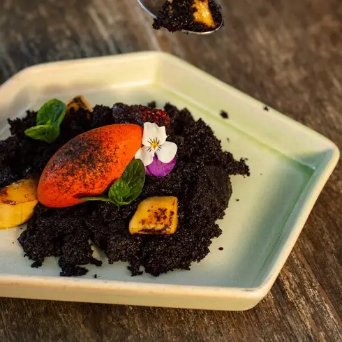 piedrasanta-holbox-2