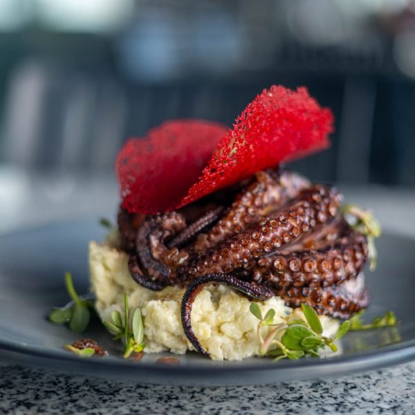 terraza-quintal-2-scaled-rciz2mayhteimw6uhnz6jlmf7tdh4p8iucf0eswcxc