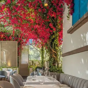 Restaurante-Karpos-Polanco-con-Reservandonos-2