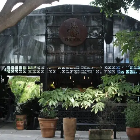 Lee más sobre el artículo Restaurante Thaiger Guadalajara
