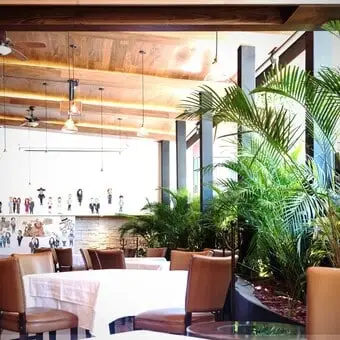 Restaurante-The-Palm-Polanco-Reservandonos.com-2