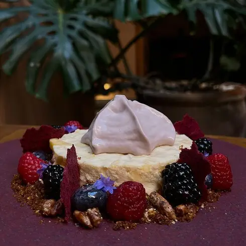 carola-terraza-queretaro-5