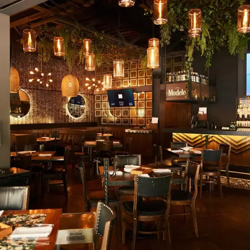 restaurante-ofelia-botanero-polanco-con-reservandonos