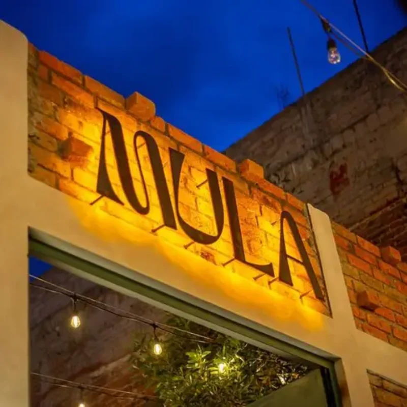 MULA TACOS NECIOS Morelia