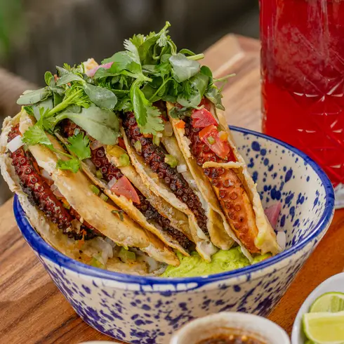 casa-maro-guadalajara-con-reservandonos-4 (1)