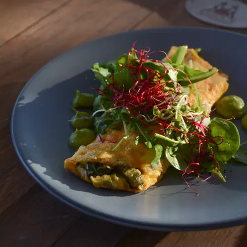 terruno-57-san-juan-del-rio-con-reservandonos-1 (1)