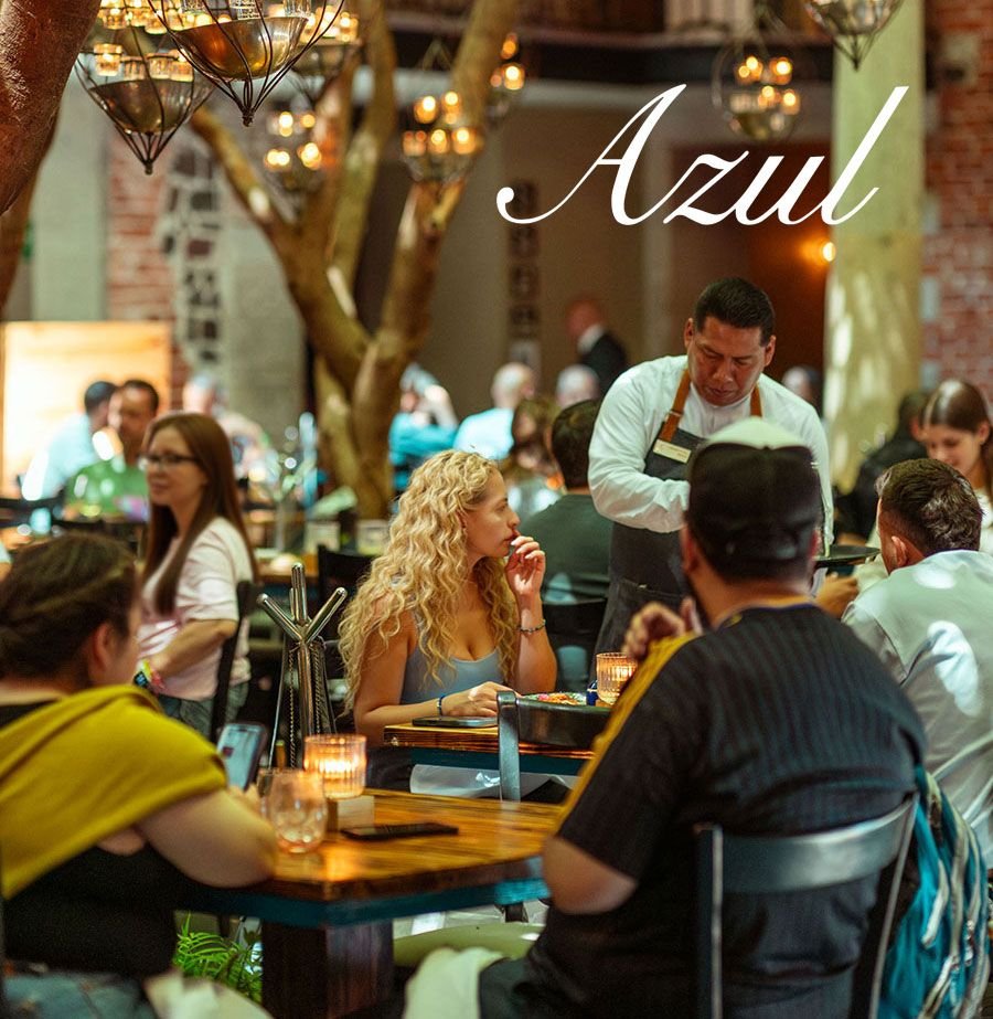 Azul Condesa - foto 4