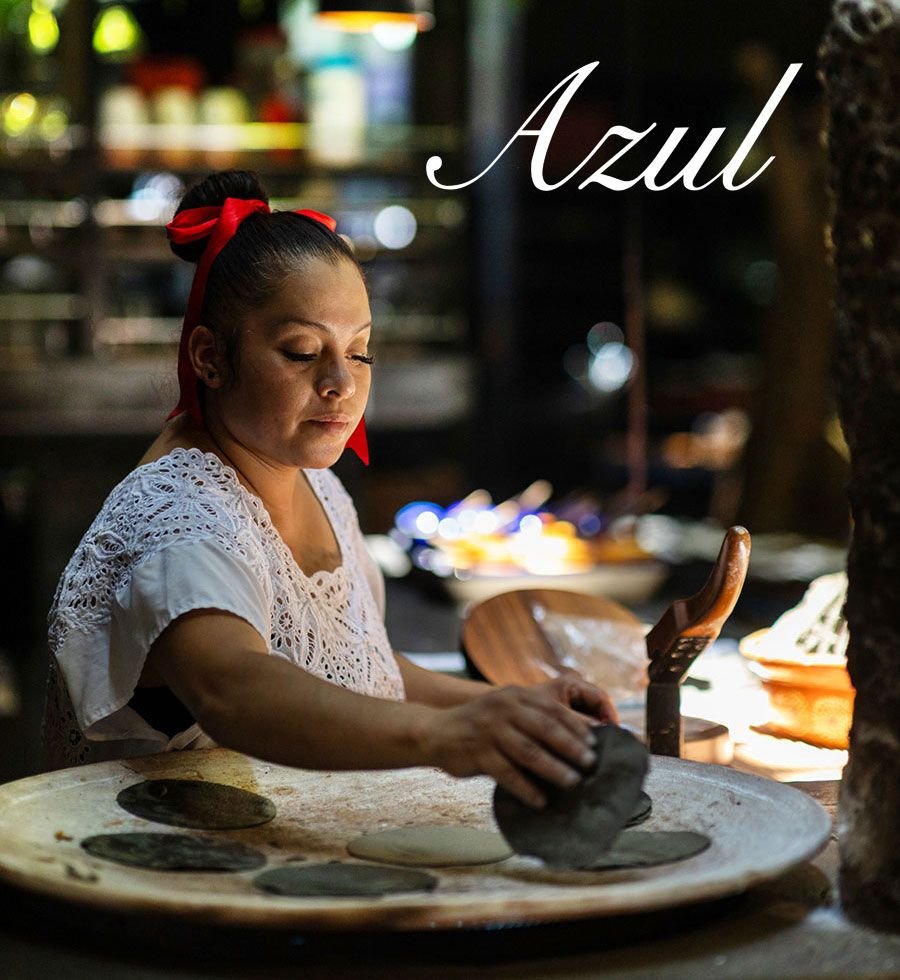 Azul Condesa - foto 5