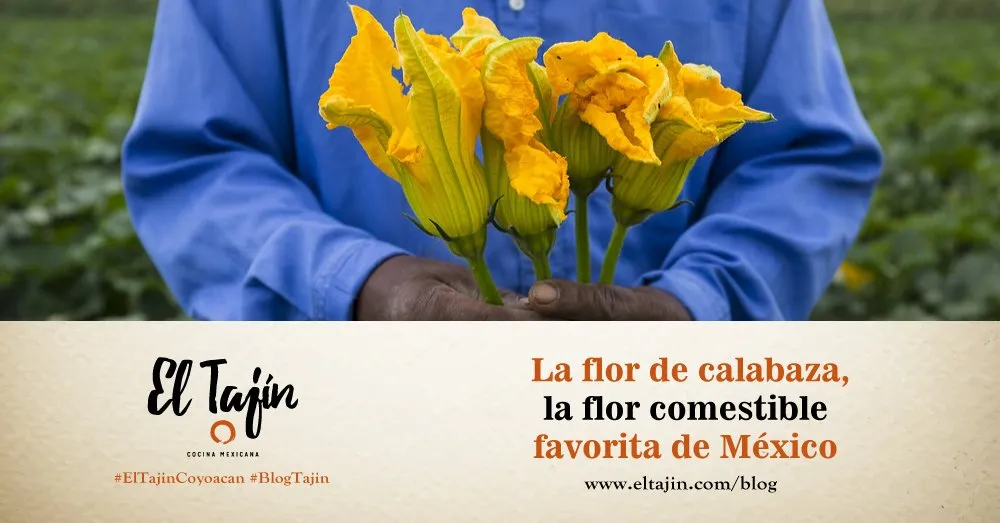 El Tajín