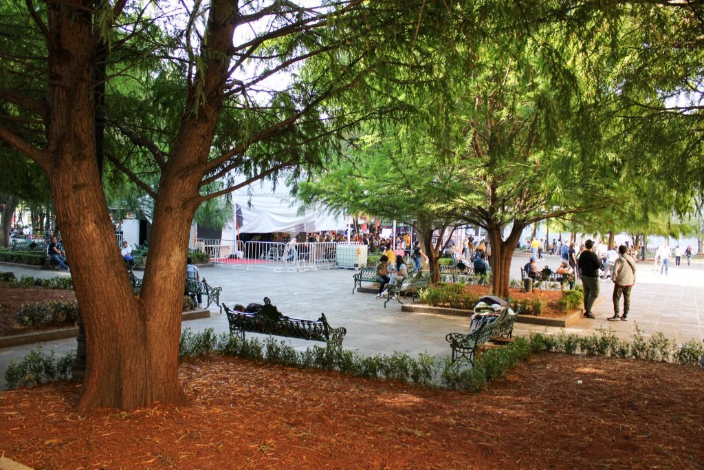 La Fondue Coyoacan