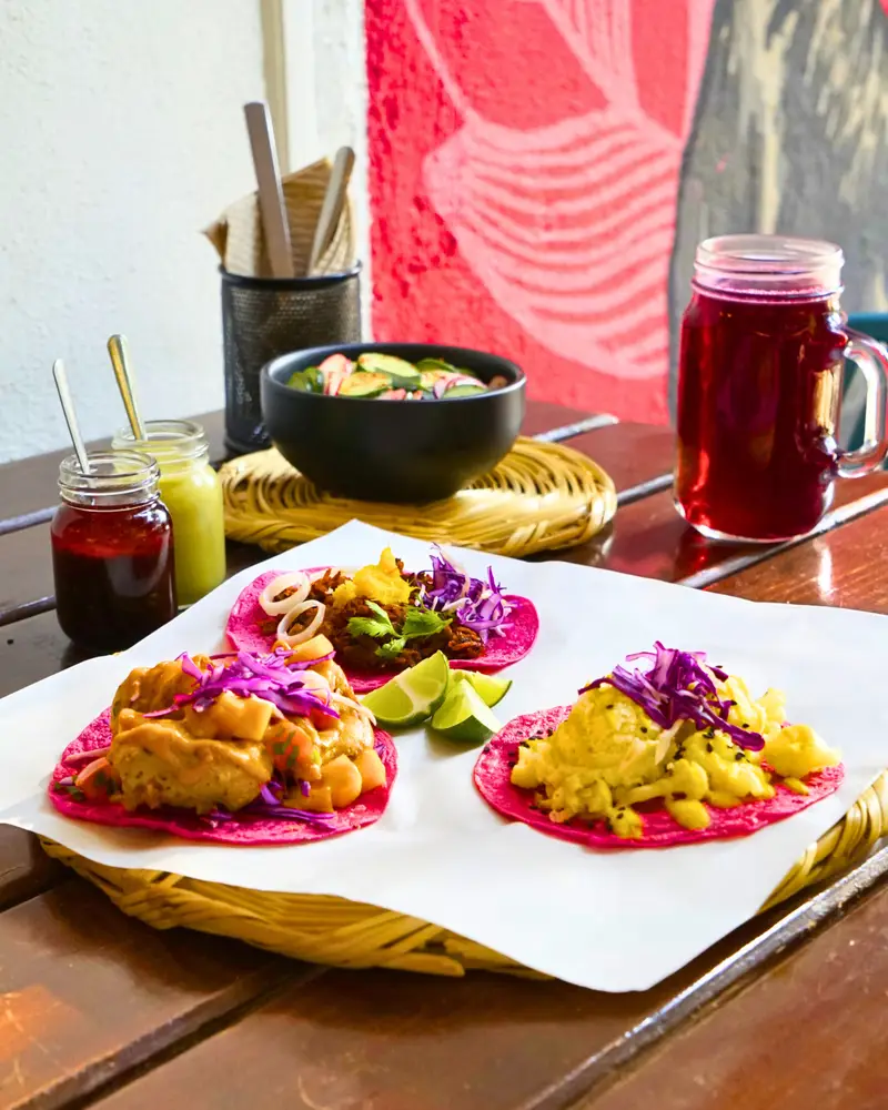 La Pitahaya Vegana