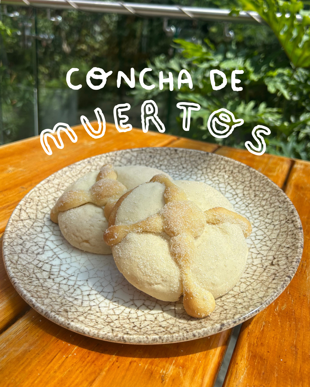 Santas Conchas Condesa - foto 4