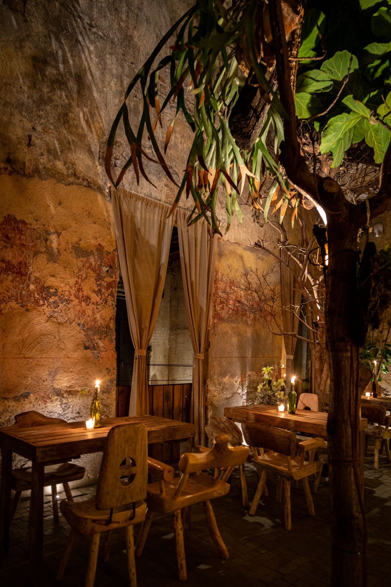 Taverna - foto 1